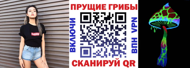 MEGA сайт  дарнет шоп  Южно-Сахалинск  Галлюциногенные грибы Psilocybe 